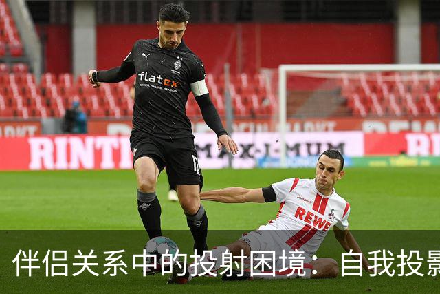 伴侣关系中的投射困境：自我投影与他者独立性的对立